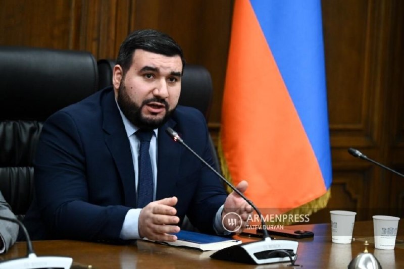 Депутат Ваагн Алексанян выступает на заседании в Национальном Собрании Армении, обсуждая законопроект об уголовной