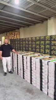 Первая партия армянских абрикосов для отправки в Сингапур от компании Davtyan Farms, Ширак