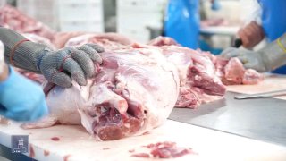 Производственный цех компании «Атенк» в Гюмри, Ширакская область