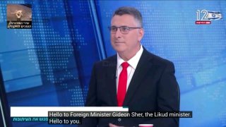 Израиль не хочет эскалации с Турцией, но против её баз в Сирии — заявление главы МИД