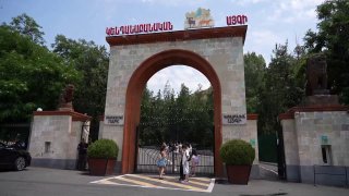 Животные из особняка Гагика Царукяна в Ереванском зоопарке проходят ветеринарное обследование